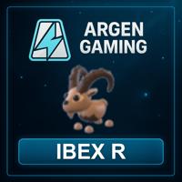 Adopt Me Ibex R
