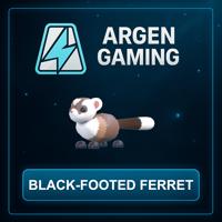Adopt Me Black-Footed Ferret