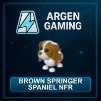 Adopt Me Brown Springer Spaniel NFR