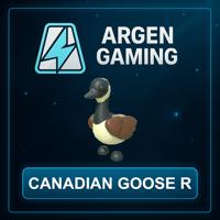 Adopt Me Canadian Goose R