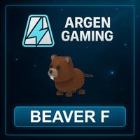 Adopt Me Beaver F