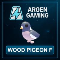 Adopt Me Wood Pigeon F
