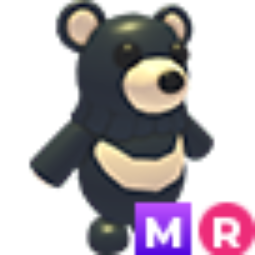 Black Moon Bear MR