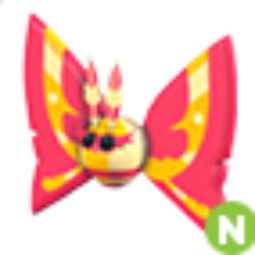 Rosy Maple Moth N