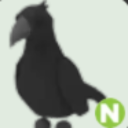 Crow N