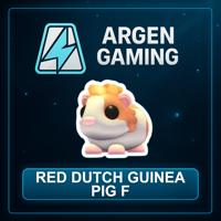 Adopt Me Red Dutch Guinea Pig F