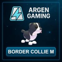 Adopt Me Border Collie M