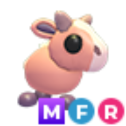 Moose Calf MFR