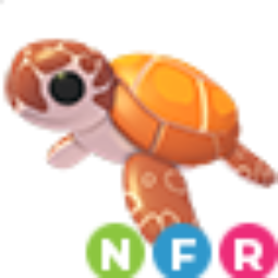 Sea Turtle NFR