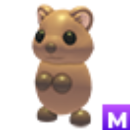 Quokka M