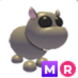 Hippo MR