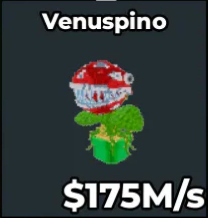 Venuspino 175M/s