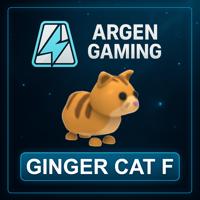 Adopt Me Ginger Cat F