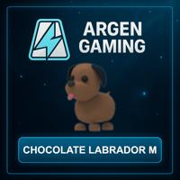 Adopt Me Chocolate Labrador M