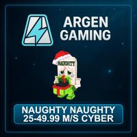 Steal a Brainrot Naughty Naughty 25-49.99 M/s Cyber