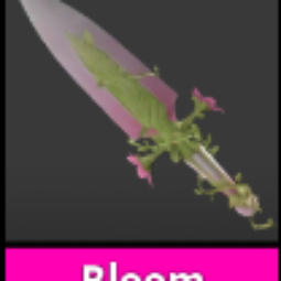Bloom