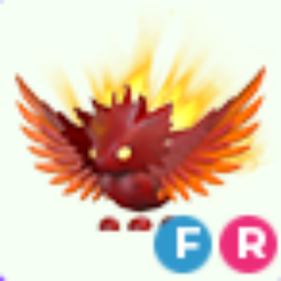FR Solaris - Fastest Delievery