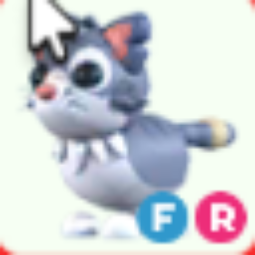 FR Alley Cat - Fastest Delievery