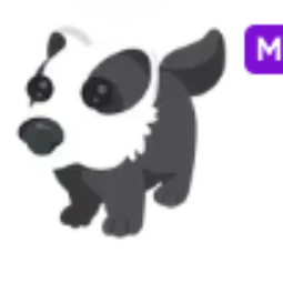 M Badger - Fastest Delivery