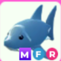 MFR Shark - Adopt Me
