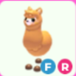 FR Alpaca - Adopt Me