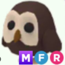 MFR Owl - Adopt Me - Response Time Under 1 Minute