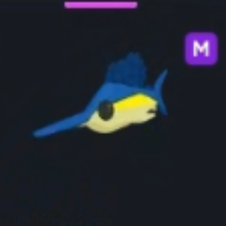 M Swordfish - Fastest Delivery