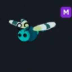 M Dragonfly - Fastest Delivery