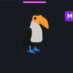 M Toucan - Fastest Delivery