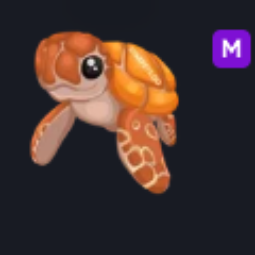 M Sea Turtle - Fastest Delivery