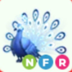 NFR Moonbeam Peacock - response in 1 min # 14