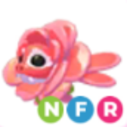 NFR Rose Dradon - Response in 1 minute