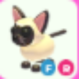 Siamese Cat FR - Adoptme