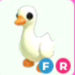 FR Goose
