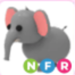 NFR Elephant - Adopt Me