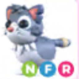 NFR Alley Cat - Adopt Me