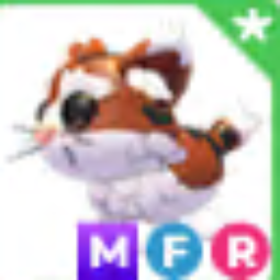 MFR Munchkin Cat - Adopt Me
