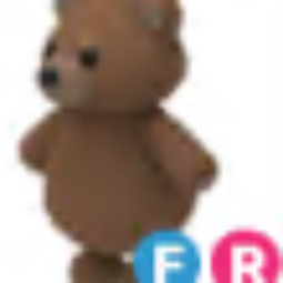 Brown Bear FR - Adopt Me