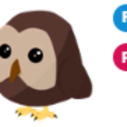 Owl FR - Adopt Me