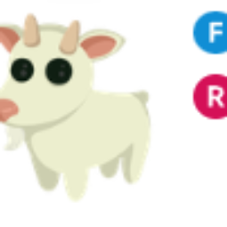 Goat FR - Adopt Me Fast Delivery