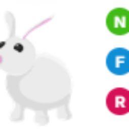 NFR Rabbit - Adopt Me Fast Delivery