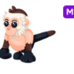 Mega Capuchin Monkey - Adopt Me Fast Delivery