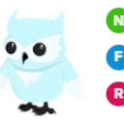 NFR Snow Owl - Adopt Me Fast Delivery