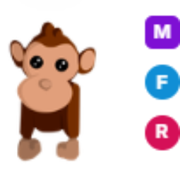 MFR Monkey (aamed) - Adopt Me Fast Delivery
