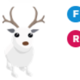 Arctic Reindeer FR