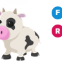 FR Cow
