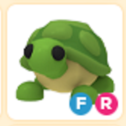 FR Turtle Adopt me