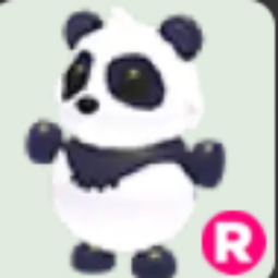 Giant Panda R