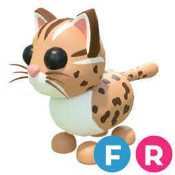 Leopard Cat FR
