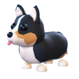 Royal Corgi